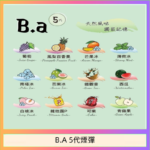 B.A 5代主機煙彈電子煙一盒三顆